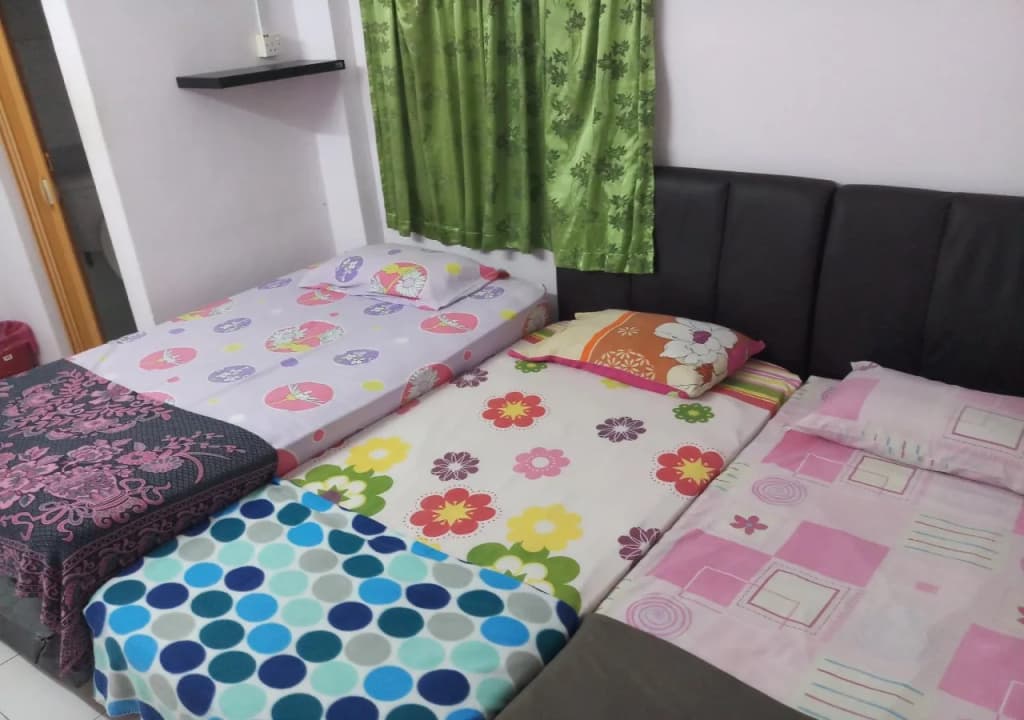 Shalini's Guest House - photo 5