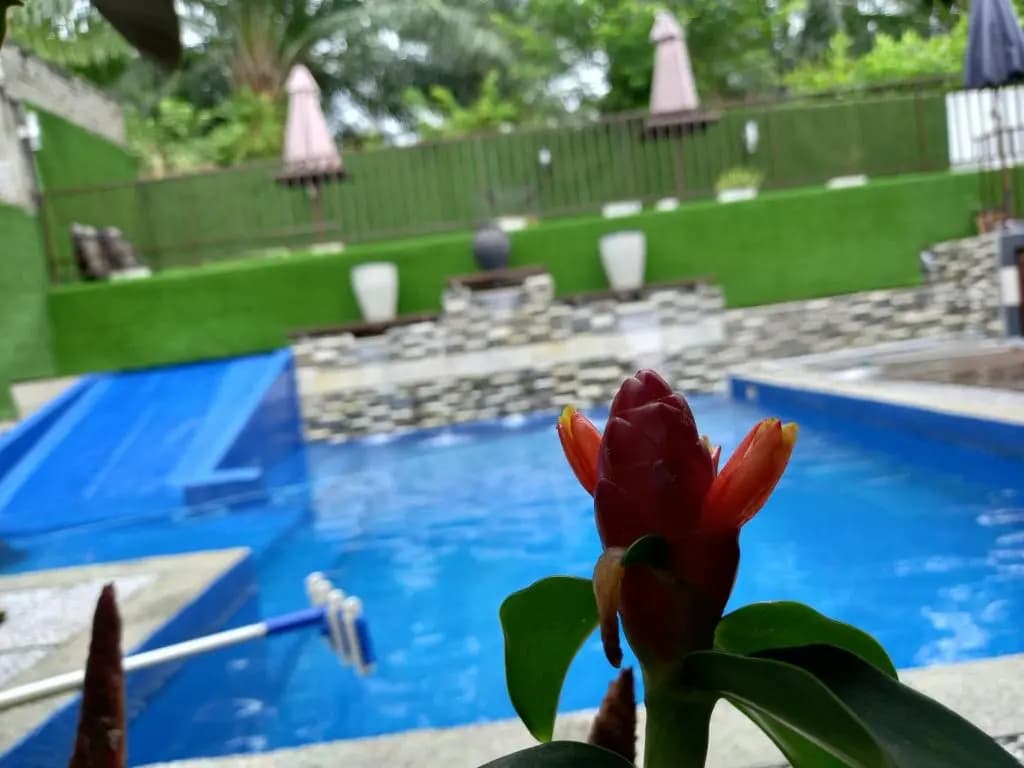 Homestay PD Villa 969 with Private Pool - photo 5