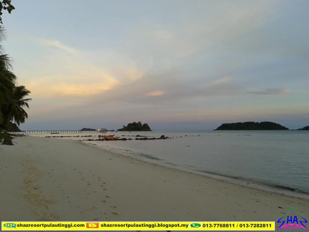 SHAZ Resort Pulau Tinggi - photo 6