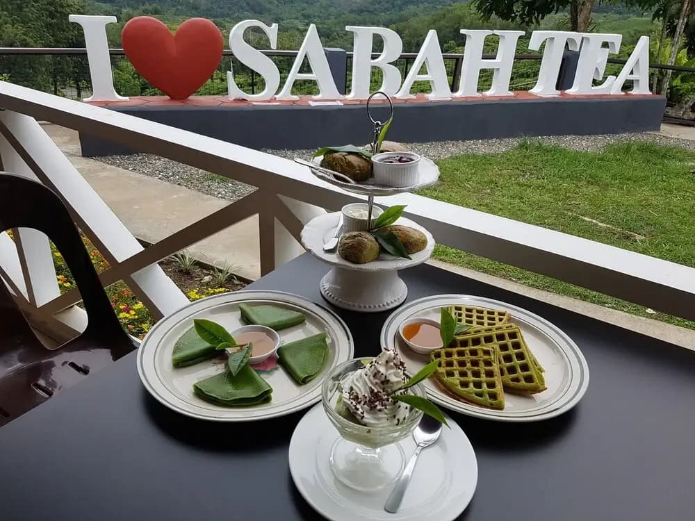 Sabah Tea Resort - photo 8