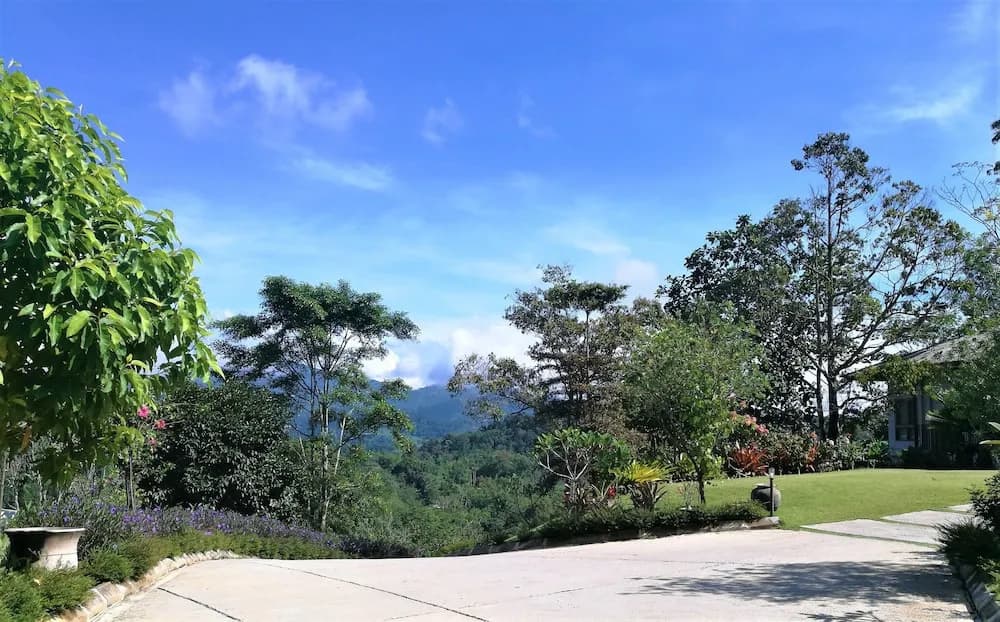 Embun Luxury Villas - photo 3