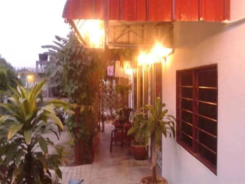 Mila Motel - photo 13
