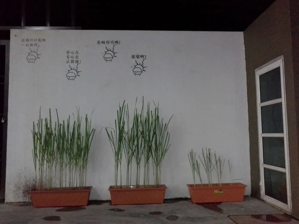 Urban Homestead - photo 1