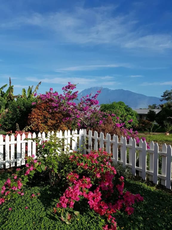 Sabah Tea Resort - photo 7