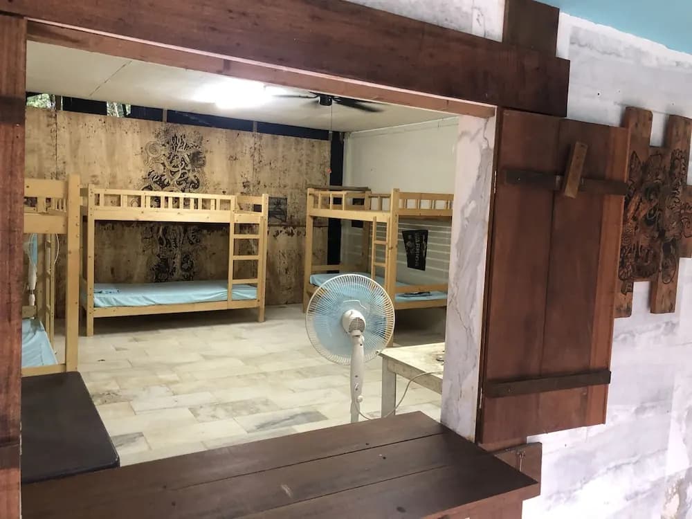 Red Eagle Bagpacker Hostel - photo 10