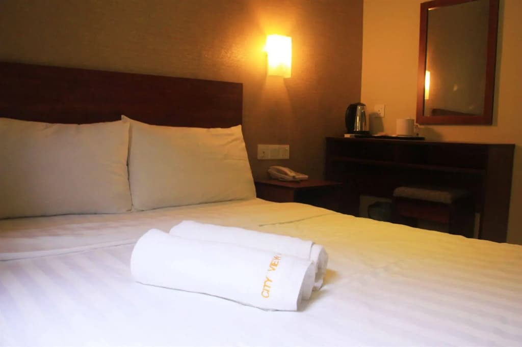 City View Hotel - photo 4