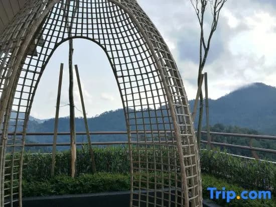 The Peak@Midhills Genting Highlands (Free WiFi) - photo 14