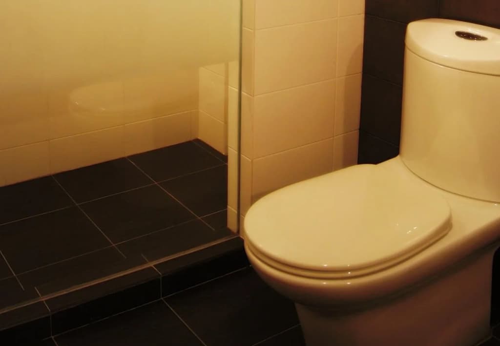 Regent Hotel - photo 10