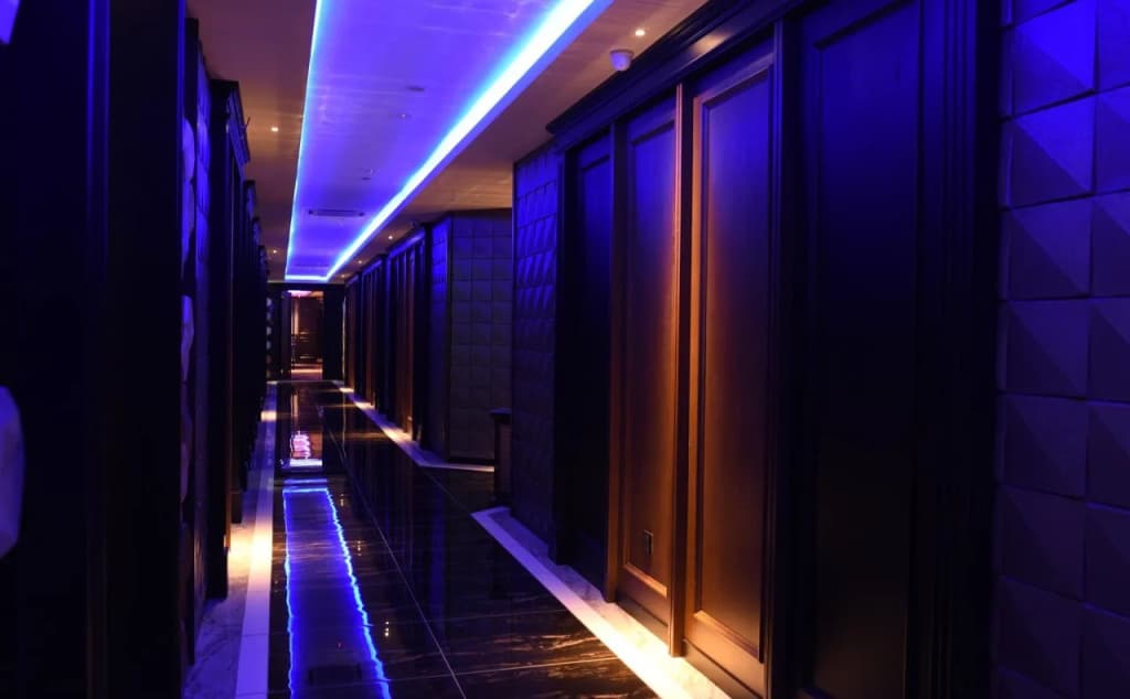 Vangohh Eminent Hotel & Spa - photo 9