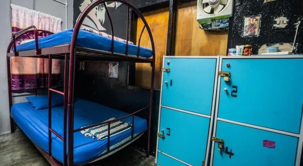 BOBI's Cafe Backpackers Hostel - photo 13