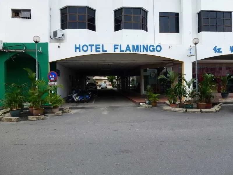 Flamingo - photo 1
