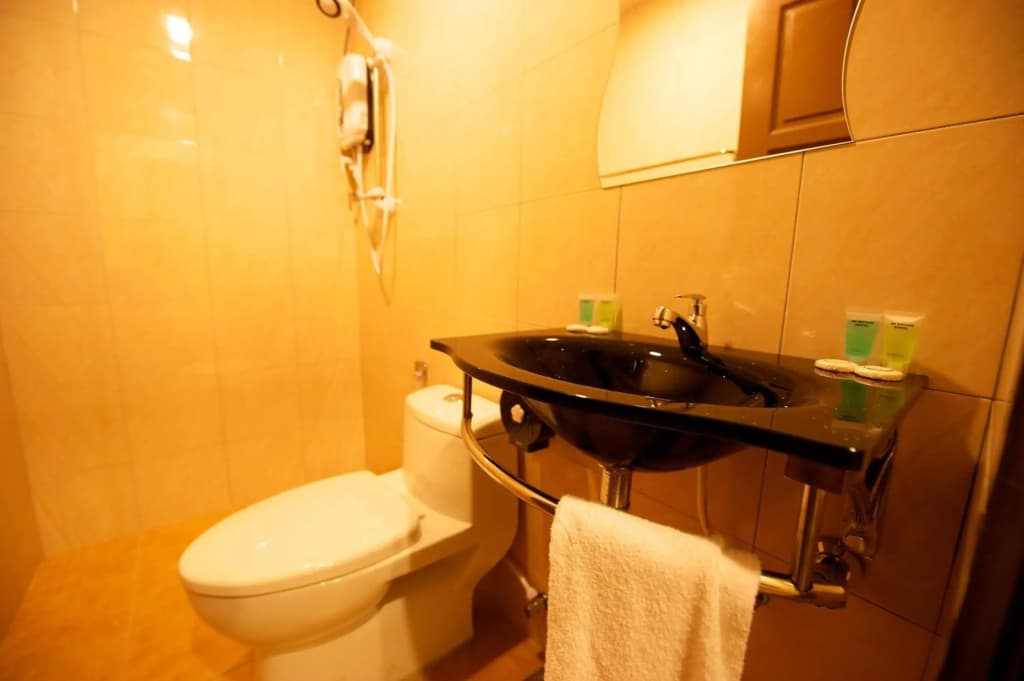 De Botani Hotel - photo 9