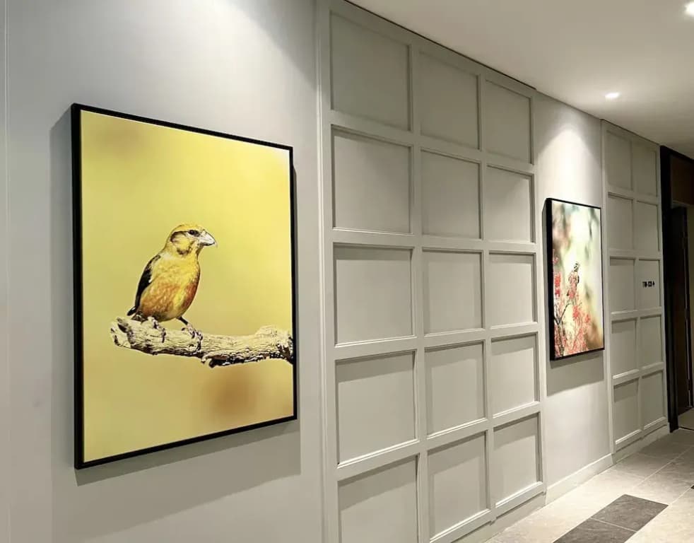 Le Vert Boutique Hotel - photo 9