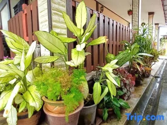 Haji Hassan Guest House - photo 1