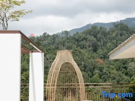 Studio V at Midhills Genting Highlands Free WiFi - photo 1