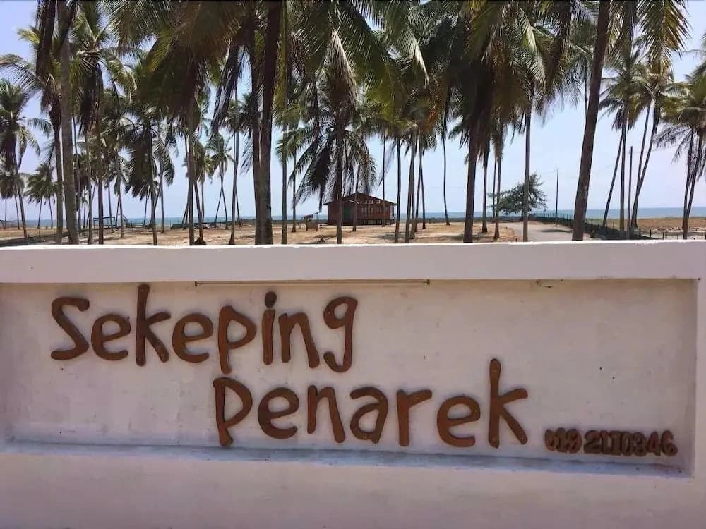 Sekepeng Penarek - photo 7