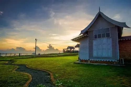 Umbut Bayu - photo 1