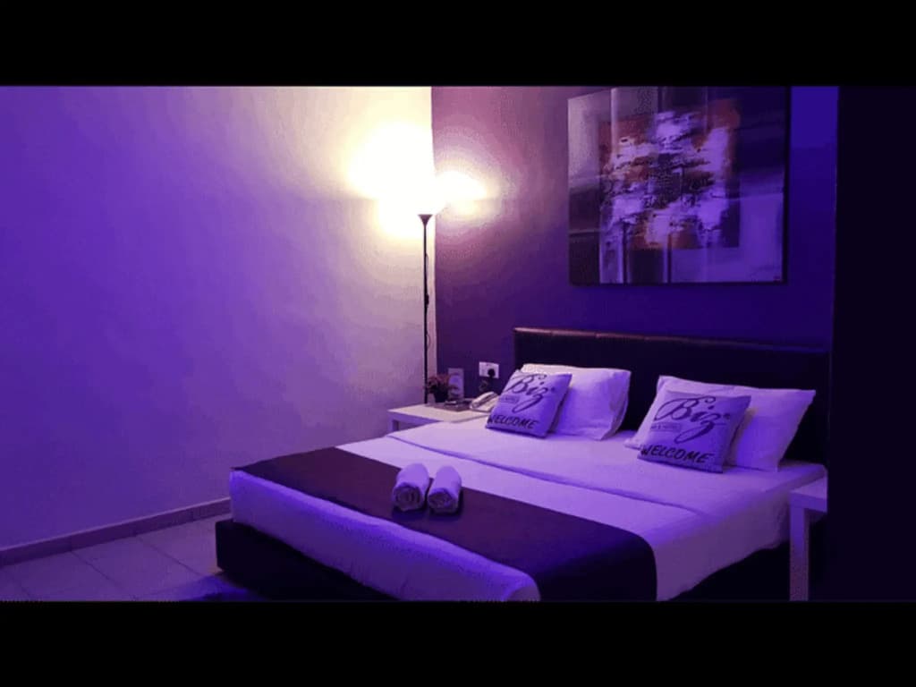 Biz Hotel - photo 5