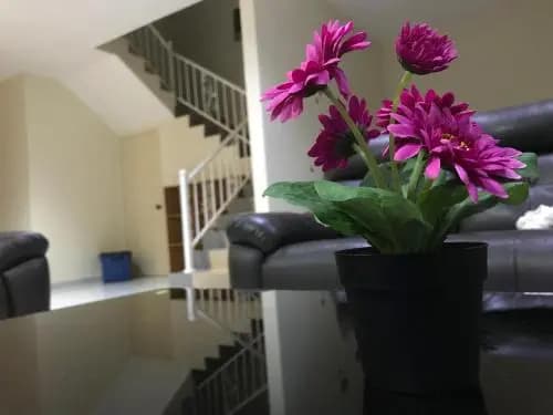 D’Resort Home Stay - photo 10