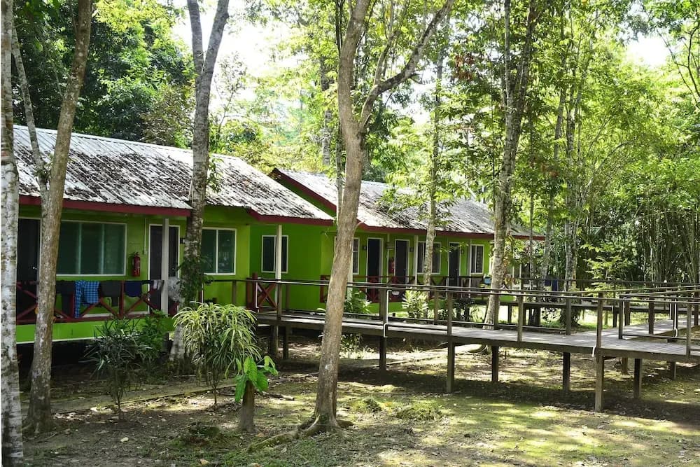 Sukau Greenview Bed & Breakfast - photo 10