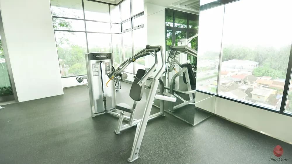 Pine Cone @ Vivo Mid Valley - photo 24