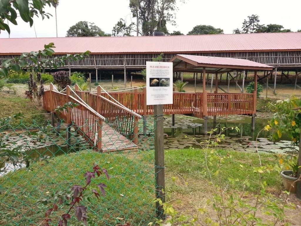 Sabah Tea Resort - photo 12