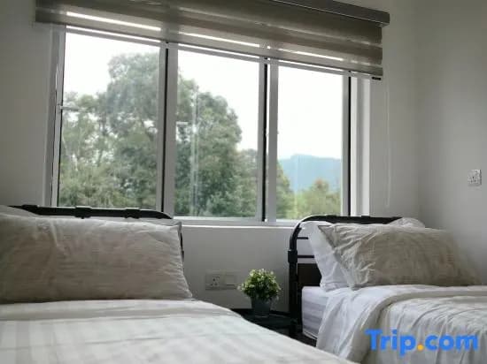 The Quintet Cameron Highlands 3BR - photo 3