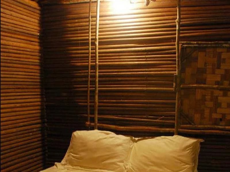Terras Tree House - photo 1