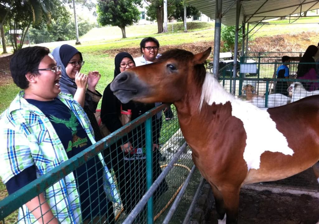 Agrofarmstay @Skill-Tech - photo 24
