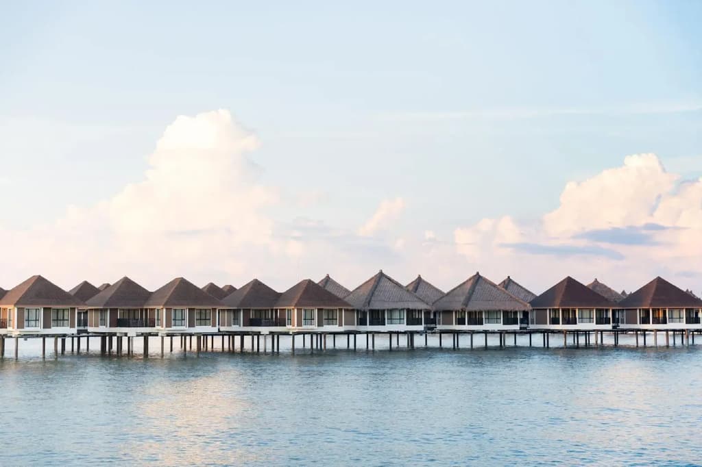 Golden Palm Tree Sepang - photo 20
