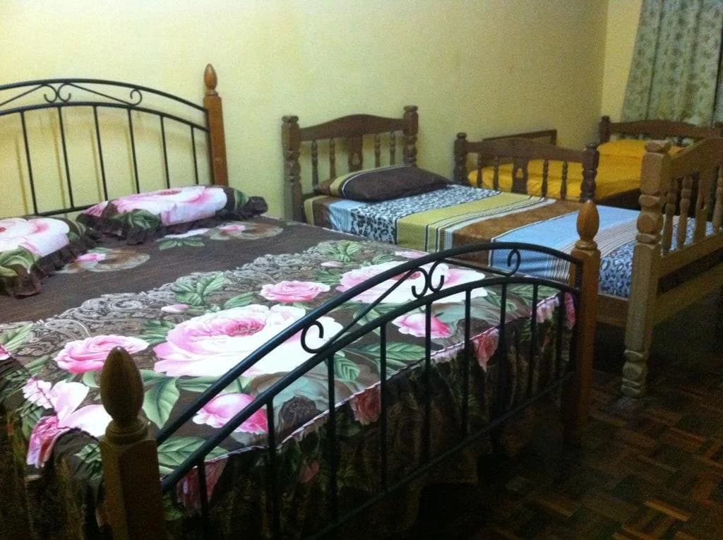 Ewans Guesthouse - photo 12