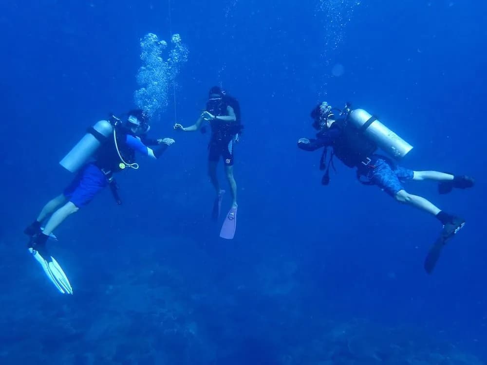 Go Deeper Tioman - photo 9
