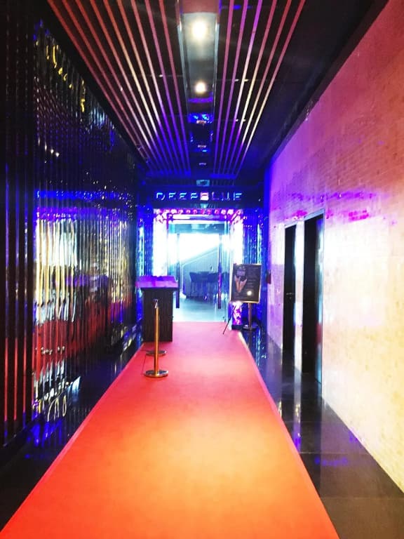 De Platinum Suite - photo 7
