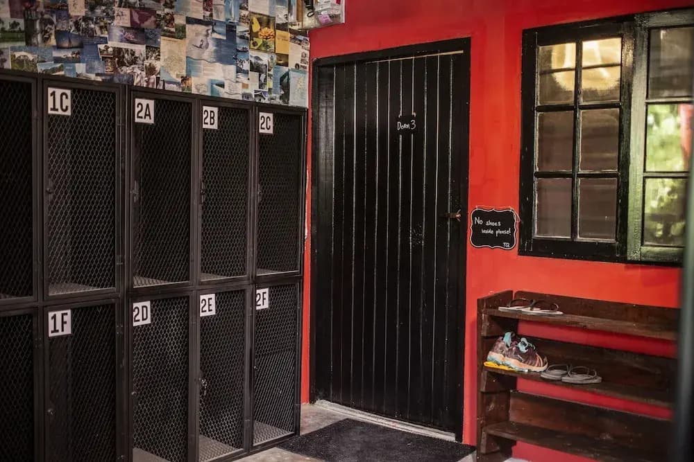 House of Lion Hostel and Guesthouse - photo 2