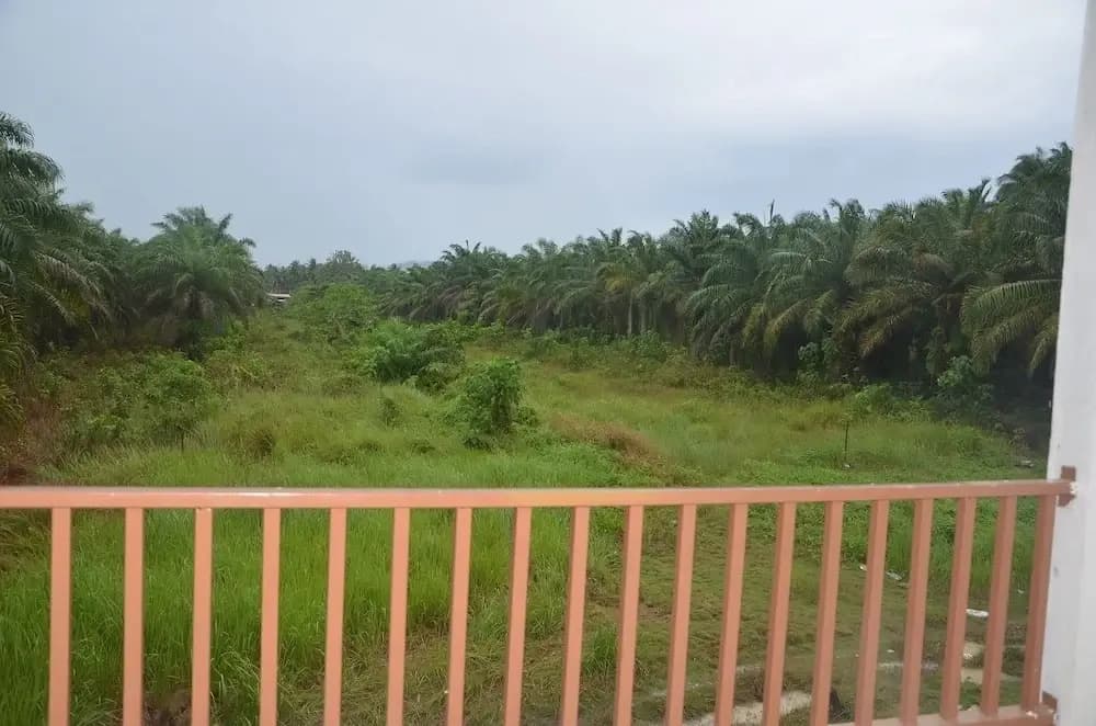 OYO 90197 Art Homestay - photo 16