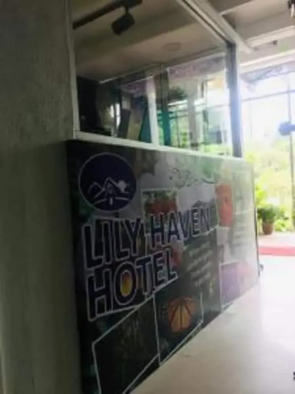 Hotel O Lily Haven Hotel - photo 10