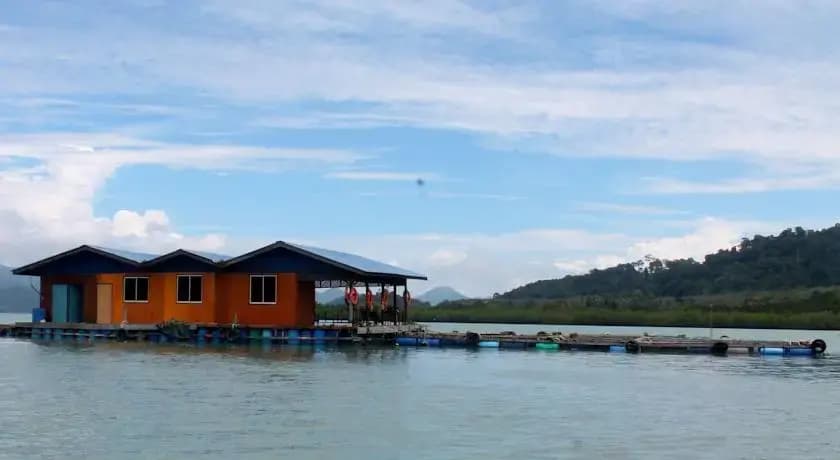 Dream Cage Fish Farm Floating Chalet - photo 7