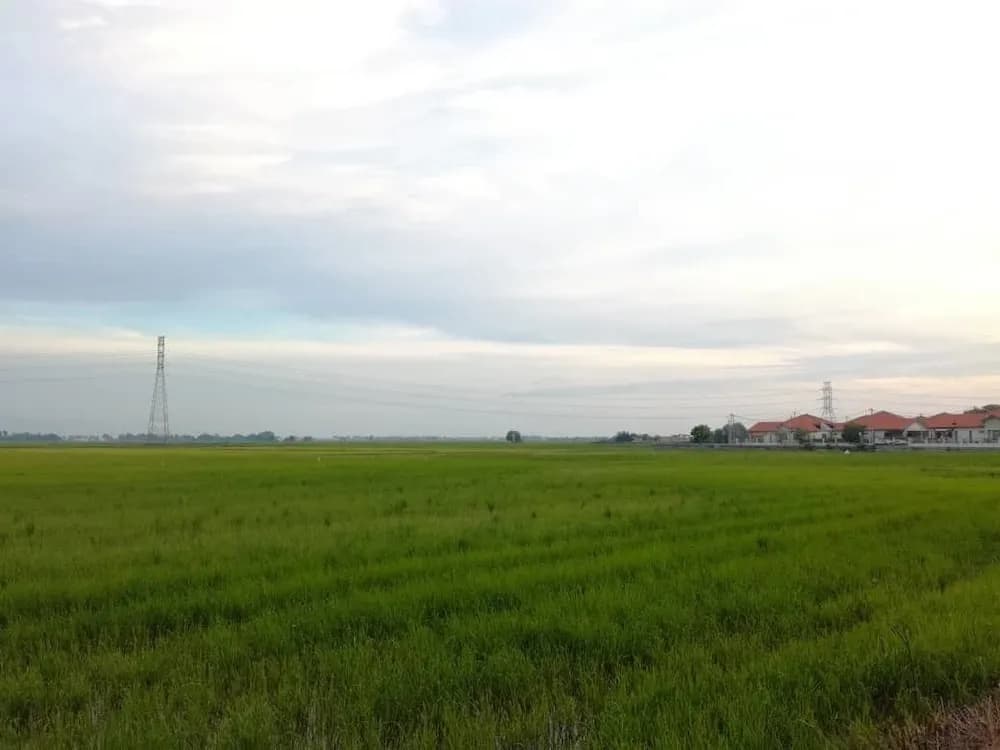 KKP Homestay Alor Setar - photo 14