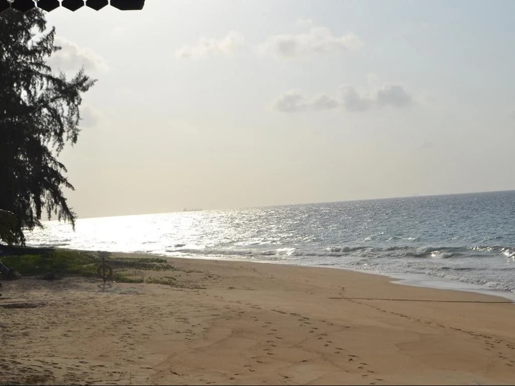 SELESA Tioman Home Stay Apartment - photo 11