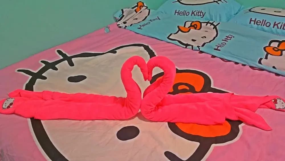 Hello Kitty Signature Suite - photo 19