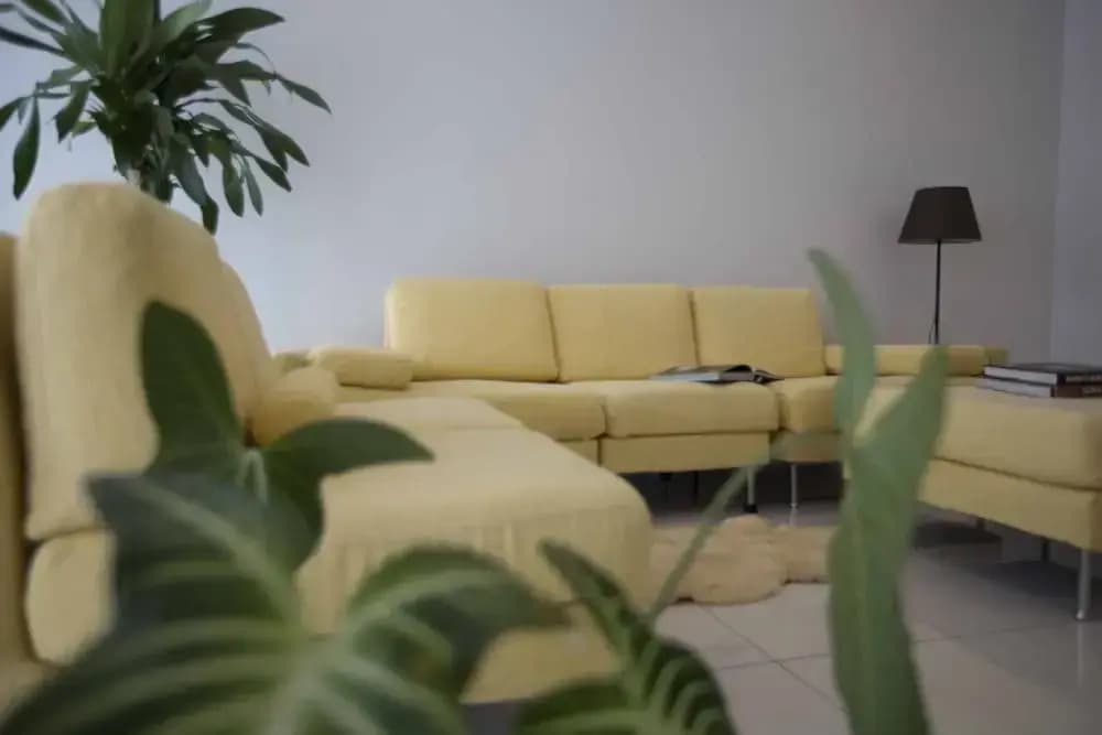 56 Residence - photo 12