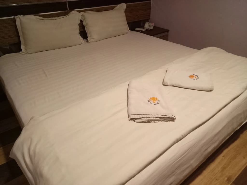 Sai Villa Hotel - photo 4