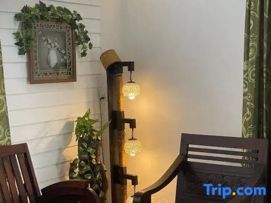 Style Star Inn Homestay (Alisa) - photo 7