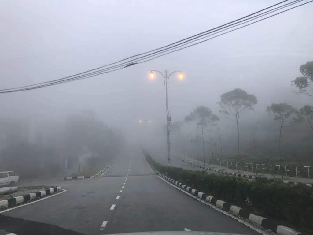 Misty Forest II - 9 Pax Next To Night Market - photo 10