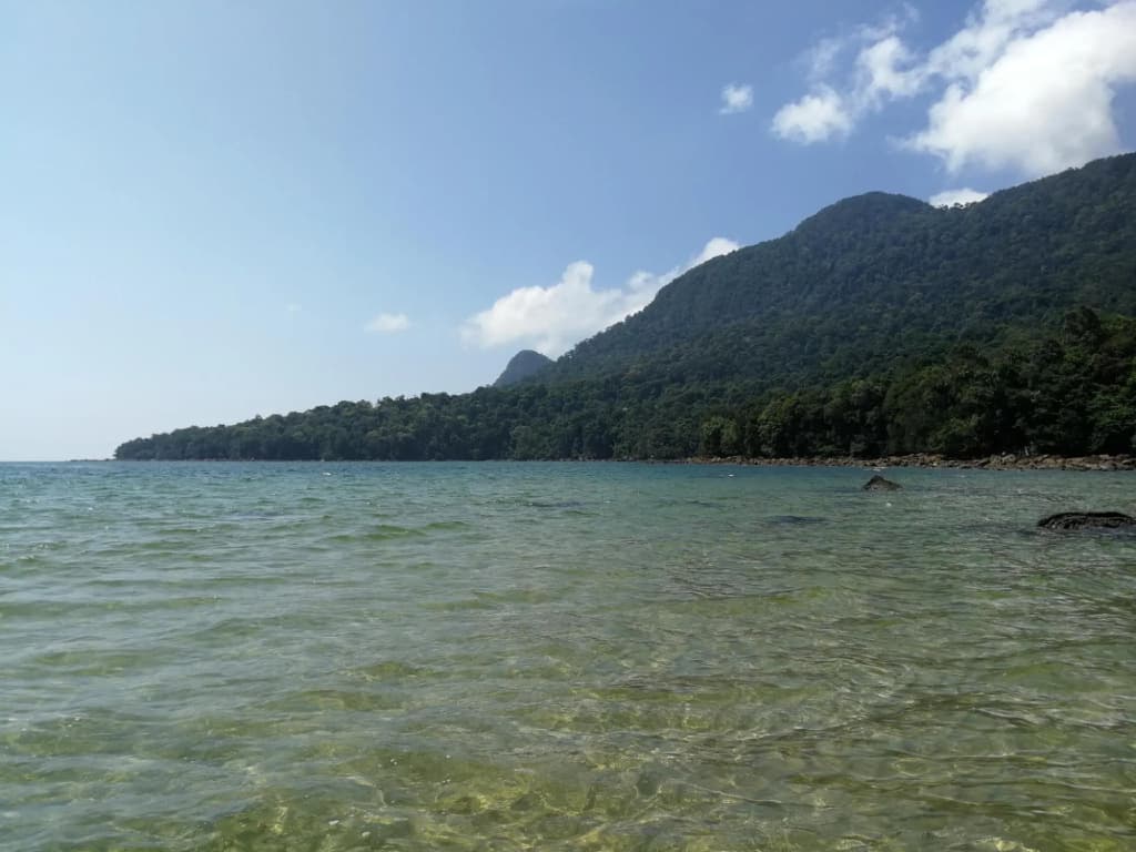 Permai Rainforest Resort - photo 15