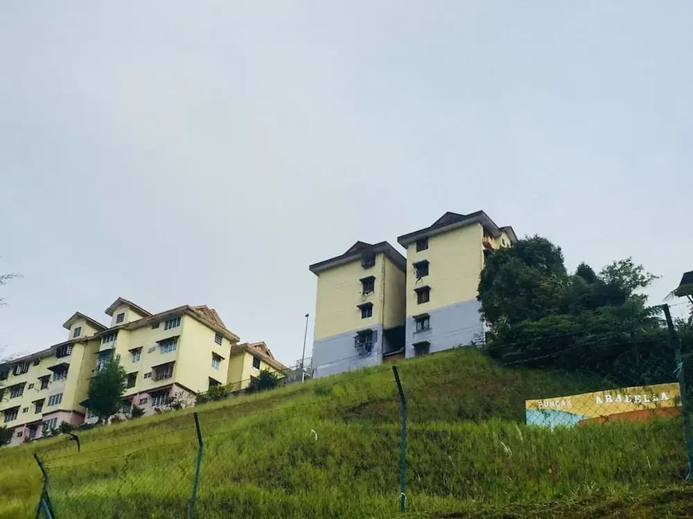 Mak Yong Homestay - photo 7