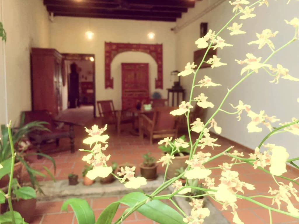 Tranquerah 125 - photo 11