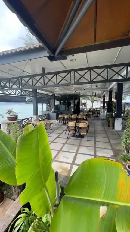 Arwana Perhentian Bluestar - photo 19