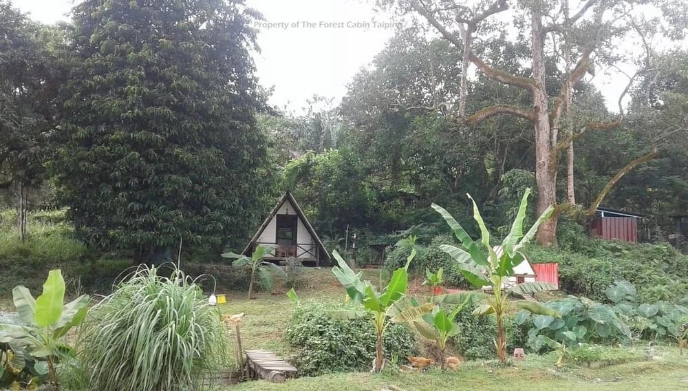 The Forest Cabin Taiping - photo 2