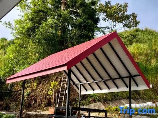 Kundasang Mount Garden - photo 4